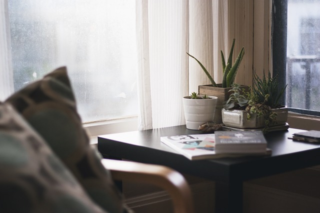 plantas na mesa